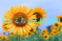 ドレミちゃん様 専用のサムネイル