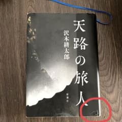 天路の旅人のサムネイル