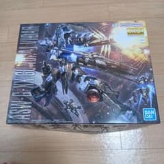 1/100 MG ガンダムヴィダール 「機動戦士ガンダム 鉄血のオルフェンズ」