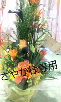 さやか様専用のサムネイル