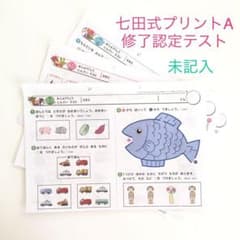 【未記入】七田式プリントA 修了認定テスト ちえ もじ かずのサムネイル