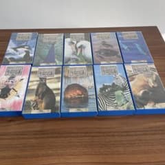 VHS 動物と自然のビデオ　ジオ・ワールド　全10巻セット　中古 hv05394a.jpg