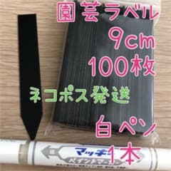 園芸ラベル　黒　9センチ　100枚　、マッキー　ペイントマーカー白色　セットのサムネイル