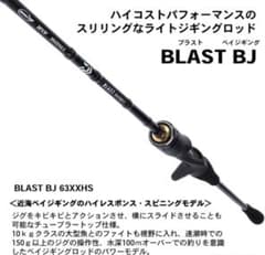 【値下げ交渉可】DAIWA BLAST BJ 63XHS・Yのサムネイル
