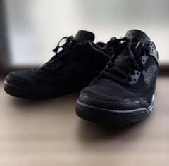 Jordan4 black catのサムネイル
