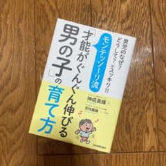 モンテッソーリ流「才能がぐんぐん伸びる男の子」の育て方のサムネイル