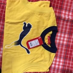 PUMAのサムネイル