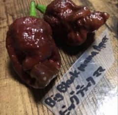 Big Black Mama Pepperのサムネイル