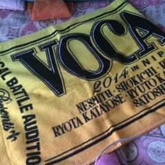 VBA 2014年武道館 タオルのサムネイル