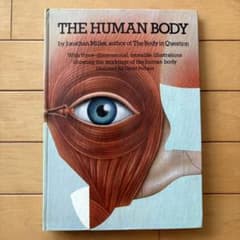 THE HUMAN BODY 洋書 仕掛け絵本のサムネイル