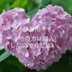 アオ様、専用。のサムネイル