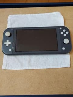 Nintendo Switch Lite グレー 本体ジャンク - メルカリ