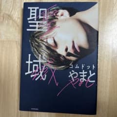 聖域のサムネイル