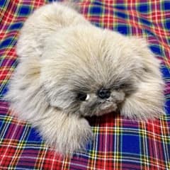 【昭和レトロ】リーベ♦︎ワンちゃんぬいぐるみ♦︎ペキニーズ♦︎狆♦︎レア♦︎日本製♦︎当時物 昭和レトロ】リーベ♦︎ワンちゃんぬいぐるみ♦︎ペキニーズ♦︎狆