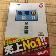 地理B一問一答 : 完全版のサムネイル