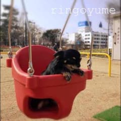 リピ☆Ruka様専用☆ドッグウェアのサムネイル