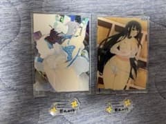 一*葉様 雪泉　斑鳩　アクリルスタンド ハプニング 閃乱カグラ コレクションのサムネイル