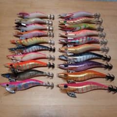 残り1組早い者勝ち アオリイカ 秋イカ 新子イカ エギ 3.0 3.5号 20本