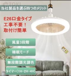 ファン➕ライトのサムネイル