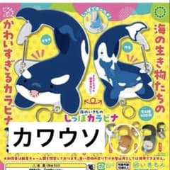 ネイチャーテクニカラー 海のいきもの しっぽカラビナ カワウソのサムネイル