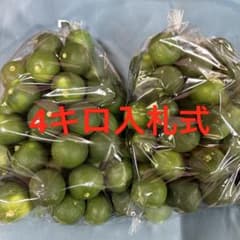 ハウススダチ 家庭用 4キロ 入札式 - メルカリ
