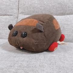 * 몰카 봉제인형