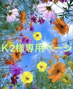 Ｋ2様専用ページのサムネイル