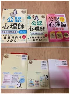 公認心理師　⚫️完全合格問題集　⚫️完全合格テキスト　⚫️試験対策のサムネイル