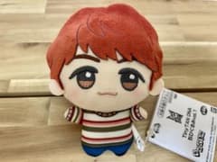 BTS TinyTAN DNA 치비구루미 J-HOPE 호석