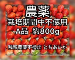 「農薬:栽培期間中不使用」いちご 「とちあいか」A級品のサムネイル