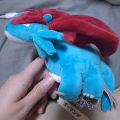 ポケモンセンター限定 Pokemon fit ボーマンダ ぬいぐるみのサムネイル