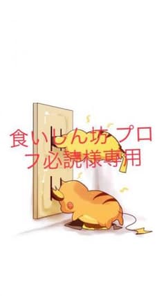 食いしん坊 プロフ必読様専用のサムネイル