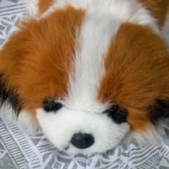 犬ぬいぐるみのサムネイル