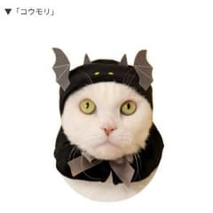 猫★ハロウィン★被り物★コウモリ即購入可のサムネイル