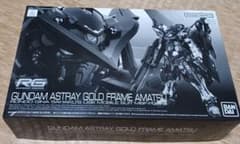 RG 1/144 ガンダムアストレイ ゴールドフレーム 天 プレバン限定
