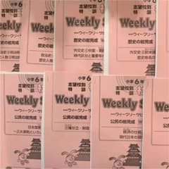 だんご様専用サピック歴史 公民 13〜16のみのサムネイル
