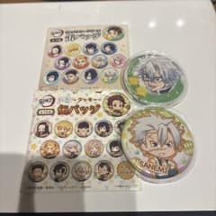 Demon Slayer: Kimetsu no Yaiba Sanemi Shinazugawa Can Badge Set of 2