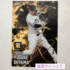 m91265894606_1.jpg?1755251988