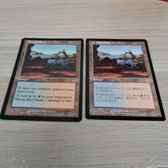 MTG シヴの浅瀬 2枚 - メルカリ