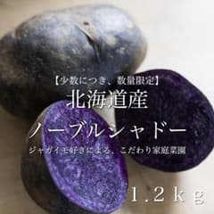 ハロウィンにおすすめ！北海道産 ノーブルシャドー 箱抜き1.2kg 【送料無料】のサムネイル