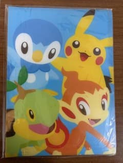 ポケモン　ポストカードファイル　2007