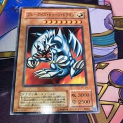 遊戯王 ブルーアイズ・トゥーン・ドラゴン PE-14 遊戯王 ブルーアイズ・トゥーン・ドラゴン PE-14 ノーマル - メルカリ