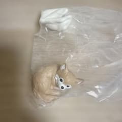 ぽかぽかわんこ　チワワ　チョコタンのサムネイル