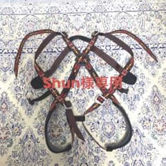 トランゴ　ジュニアハーネス（適応体重）約11～36kg /（胴囲）46～58cmのサムネイル