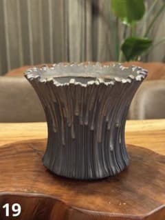 陶器鉢 植木鉢 塊根植物 コーデックスのサムネイル