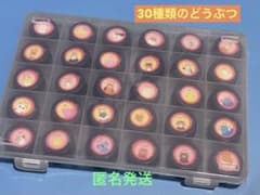 【手作り知育玩具】絵あわせ　柄30種類のサムネイル