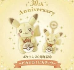 포켓몬 30주년 봉제인형 마스코트 피카츄 세트 반짝반짝!