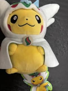 メガエルレイドのポンチョを着たピカチュウ ポケモンセンター ぬいぐるみ　タグ付き メガエルレイドのポンチョを着たピカチュウ ポケモンセンター