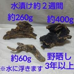 流木 3点セット 野晒し3年以上のサムネイル