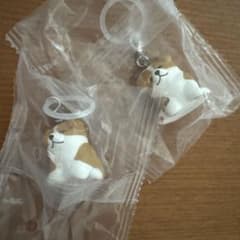 ふっちりパピーのめじるしマスコット ボーダーコリー2個セットのサムネイル